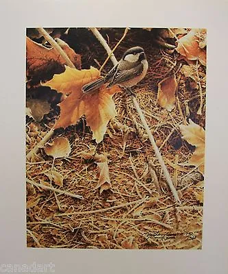 Michael DUMAS   October Sun   Black Capped Chickadee Limited Edition Art Print • $57