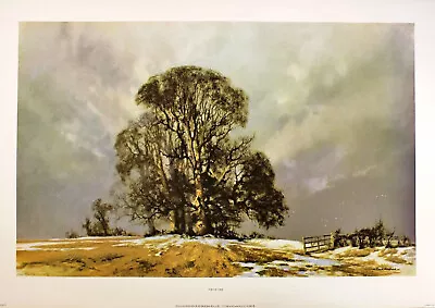 David Shepherd  Melting Snow  English Landscape Brown Fine Art Print Collectible • £39.99