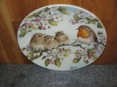 £4 • Buy Royal Worcester Happy Families Bird Plate
