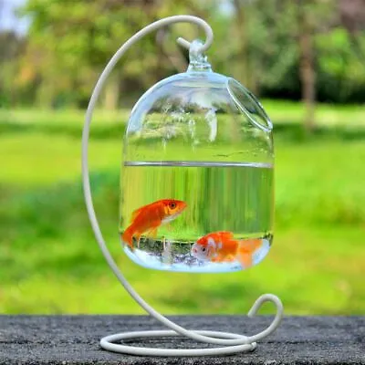 $14.67 • Buy Ornaments Mini Fish Tank With Stand Glass Transparent Vase Fish Tank