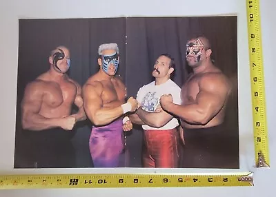 80s 90s Wrestling Poster Legion Of Doom The Road Warriors Sting • $14.99