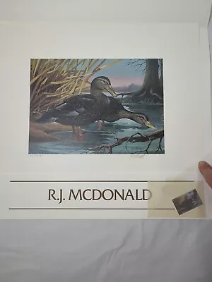  1987 Kentucky Duck Stamp Print By R.J. McDonald #664/8189 Stamp And Signed • $49.99