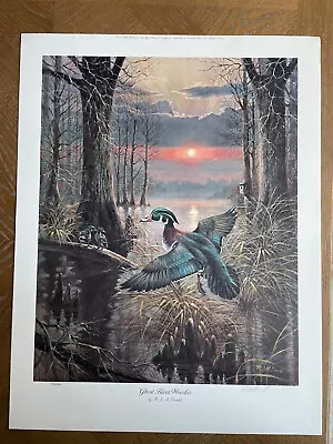 R.J. McDonald Ghost River Woodies 17 X 21.25 Signed/Numbered Waterfowl Litho • $150