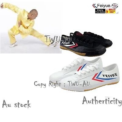 Feiyue Shoes Kung Fu Shoes Wushu Shoes Taiji Shoes Parkour Martial Arts Shoes • $46.50