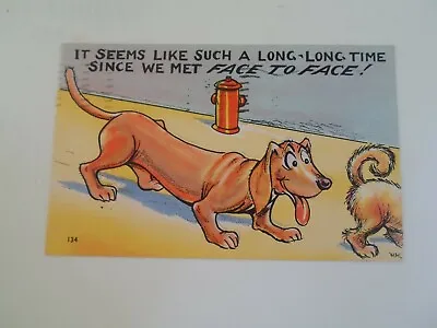 Sausage Dog - Dachshund Dog Humour Vintage Postcard Franked 1949 §E2174 • £4.99
