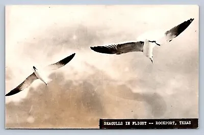 J95/ Rockport Texas RPPC Postcard C1940s Seagulls In Flight Birds  48 • $12.65