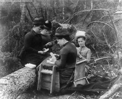 Vintage Black And White Photo 1890 Playing Cards In Woods 10x8 Photo Reprint A-1 • £12.28