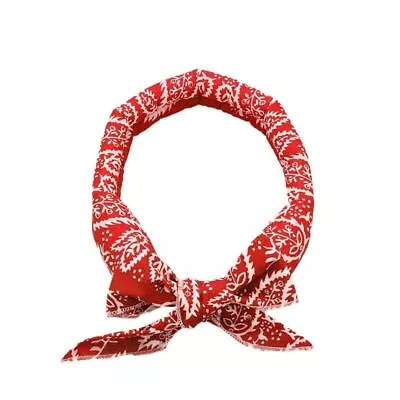 Bandana Headband Cooler Scarf Neck Ice Scarf Wrap Deluxe Outdoor Sport Cooling • $5.14