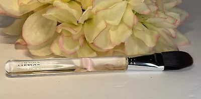 CLINIQUE BLUSH Makeup BRUSH CLEAR HANDLE 6  NIP Free Shipping • $9.95