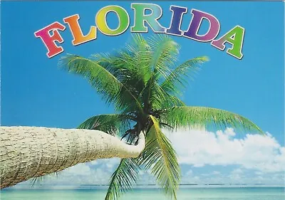 Palms And Sandy-white Beaches - Florida - Perfect Vacation Hot-spot • $0.90