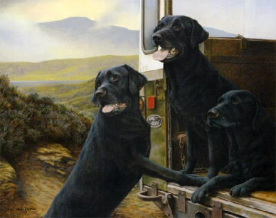 £99 • Buy Nigel Hemming WILD ROVERS Print, Labrador Gun Dogs Art Canine Gift #1