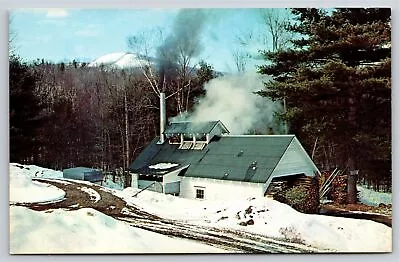 Farming~Maple Sugaring Building In Vermont~Vintage Postcard • $3.70