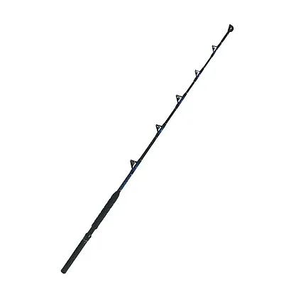 EatMyTackle All Roller Guide Boat Rod | Saltwater Fishing Rod • $113.39