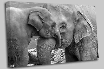 Cuddling Elephant And Baby Elephant  Canvas Wall Art Picture Print • £51.98