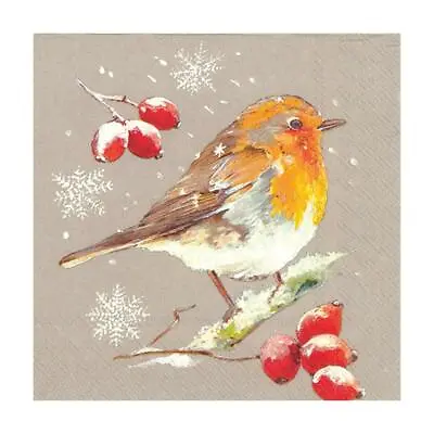£5.99 • Buy Winter Robin Paper Napkins Christmas Lunch Xmas Party Disposable Serviettes