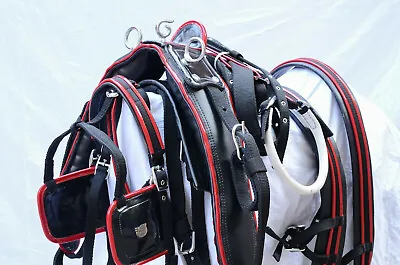 Nylon Webbing Driving Harness Two Tone For Single Horse With Black Combination • £89.99
