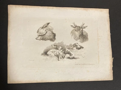 £9.99 • Buy Etching By Samuel Howitt DOG, PIG, DEER