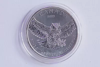 2015 1oz Silver Great Horned Owl Birds Of Prey Series Canada 5 Dollars (2416) • £25