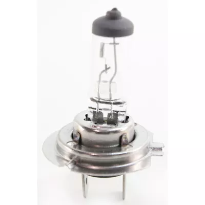 For Mercedes-Benz E55 AMG 1999-2006 Headlight Bulb Driver OR Passenger Side • $17.44