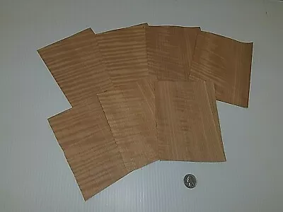 1 Lot Of 7pcs Curly Figured Fiddleback Anigre Raw Veneer Shorts Lot #64 • $15.49