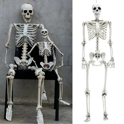 Full Size Poseable Human Prop Skeleton Halloween Party Haunted House Decor • £15.95