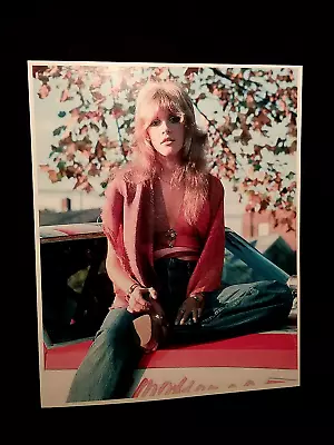 STEVIE NICKS 8 X 10 PHOTO ROCK Music Poster ~ Fleetwood Mac ~ Print Vintage • $11.99