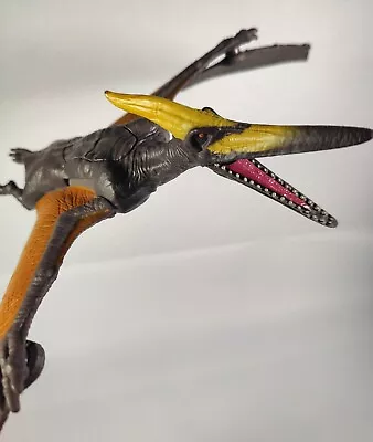 2017 Jurassic Park Pteranodon Fallen World Roar Dinosaur Figure Used See Picture • $8