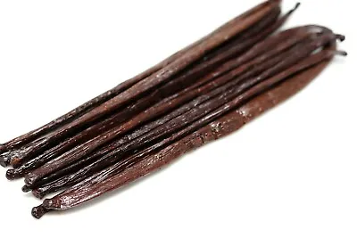 10 Vanilla Pods From Madagascar  Bourbon Quality Last Harvest Size 45 (10-11) • $13.06