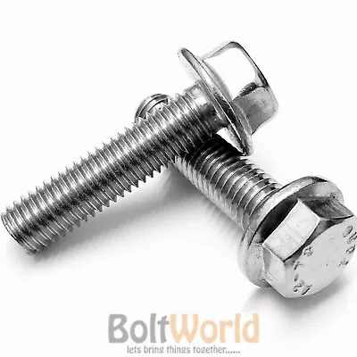 Flanged Hexagon Head Bolts Flange Hex Screws A2 Stainless Steel M5 M6 M8 M10 • £58.44