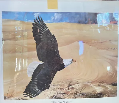 Mario Fernandez “ Wings Over The Desert ”  Limited Edition Print Kuwait Tribute • $69
