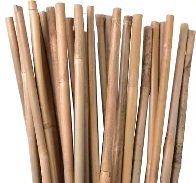 3ft Bamboo Canes Garden Plant Flower Support Trellis Frame Pole Stake Stick • £12