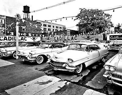 1950s CADILLACS On CAR LOT Photo  (205-P) • $11.33