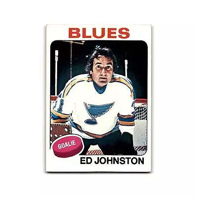 1975 Topps Ed Johnston St. Louis Blues #185 • $4