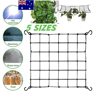 $20.80 • Buy Elastic Scrog Trellis Net W/Hooks Plant Support Netting For Grow Tent 5 Sizes