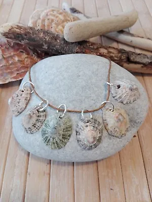 6 Natural Sea Shell Charms Pendants Beach Nautical Coastal Boho Jewellery Craft • £5.30