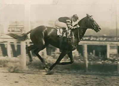 Man-o-war 8x10 Photo Horse Racing Picture Jockey Race Action • $4.99