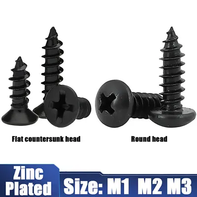 100pc Black Micro Cross Phillips Round/Flat Head Self Tapping Wood Screw M1-M3 • $2.63