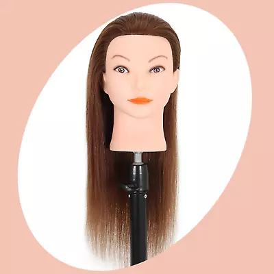 Mannequin Head With Human Hair - 20-22  Cosmetology Mannequin Head With 100% Rea • $52.36