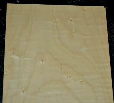 Ugly Birdseye Maple Raw Wood Veneer Sheet 6 X 33 Inches 1/42nd          L2308-93 • $2.99