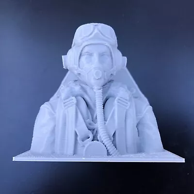 RC 1/8 Scale RAF Pilot With Spitfire Bulkhead.. Made In The UK.. • £5.75