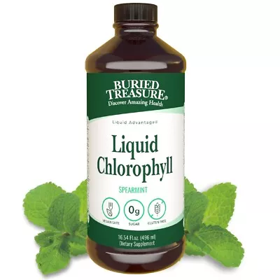Buried Treasure Liquid Chlorophyll Energy Boost Immune Support Detox  - 16oz • $20.79