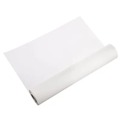 Xuan Paper Roll Rice Paper Without Grid 20in X 82ft Raw Xuan White • $41.91
