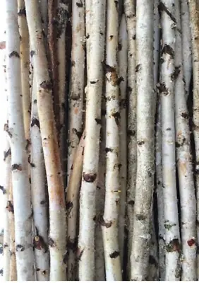 $84.99 • Buy Birch- Woodworking Poles- Cane Blanks-5'