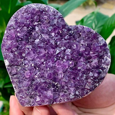 446G  Natural Amethyst Quartz Crystal Single-End Terminated Wand Point Healing • $156.75