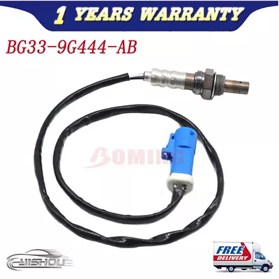 BG33-9G444-AB Oxygen Sensor Downstream New For Aston Martin Vantage S 4.7L GT8 • $51.95