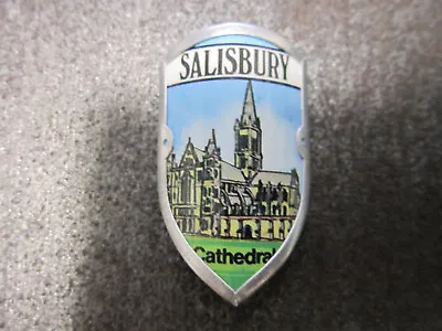 Salisbury Cathedral Walking Stick Mount Badge Stocknagel (L1W) • £4.99