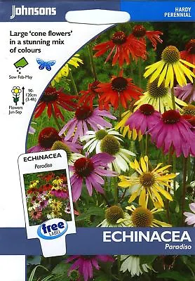 Johnsons Seeds - Pictorial Pack - Flower - Echinacea Paradiso - 20 Seeds • £4.15