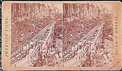 White Mountain Scenery Card # 266. Mt. Washington Railroad.  Stereoview • $4.50