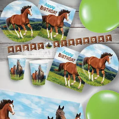 Horse Pony Party Decorations Banners Balloons Party Bags Supplies Tableware • £4.35