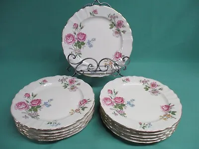 B & Co Limoges L Bernardaud Cabbage Rose & Wildflower Design 9 1/2  Plate 19566 • $6.99